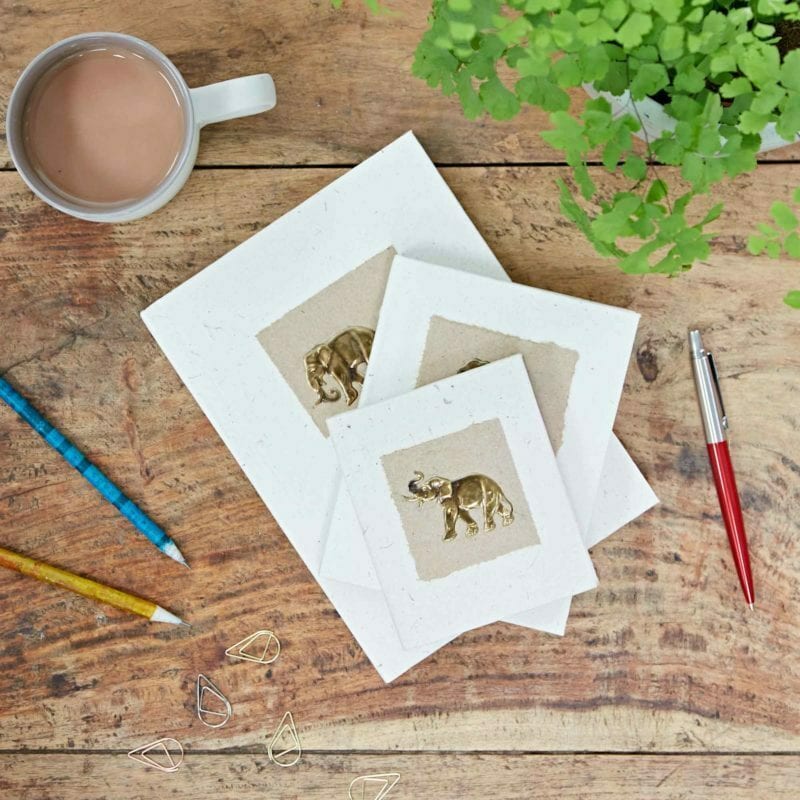 Elephant Dung Notebooks sit on a wooden table, accompanied by a steaming coffee cup, pencils, a red pen, scattered paper clips, and a potted plant adding greenery in the corner.