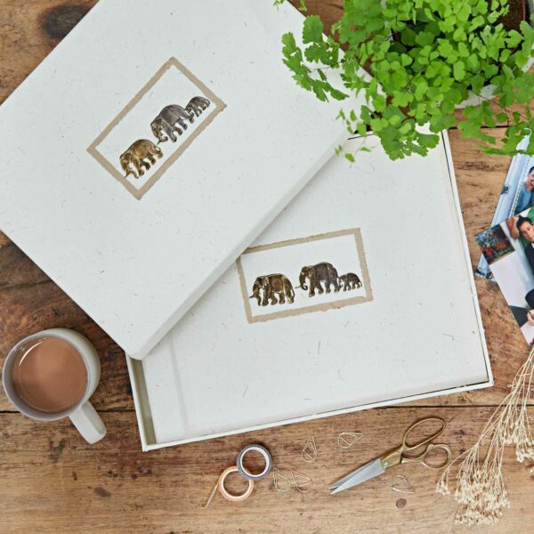 Two white photo albums made from elephant dung paper, featuring charming elephant illustrations, rest on a wooden table alongside a cup of tea, a plant, scissors, paper clips, and printed photographs.