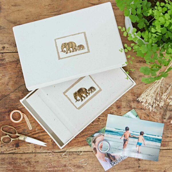 Two white photo albums with gold elephant designs, made from eco-friendly elephant dung paper, sit on a wooden table surrounded by scissors, washi tape, photos, paper clips, and lush green plants.