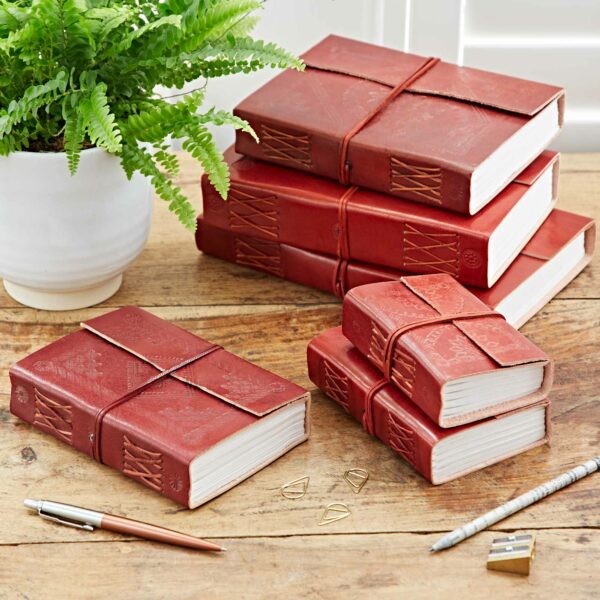 Five Embossed Leather Journals secured with straps are stacked on a wooden table next to a potted fern, a pen, a pencil, and four triangular paper clips.