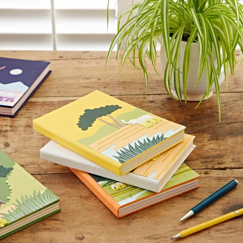 A stack of large, colorful notebooks with nature-themed covers sits on a wooden table, next to a potted plant and some pencils. One of the standout pieces is a Large Colourful Elephant Dung Notebook, adding an eco-friendly touch to the vibrant collection.