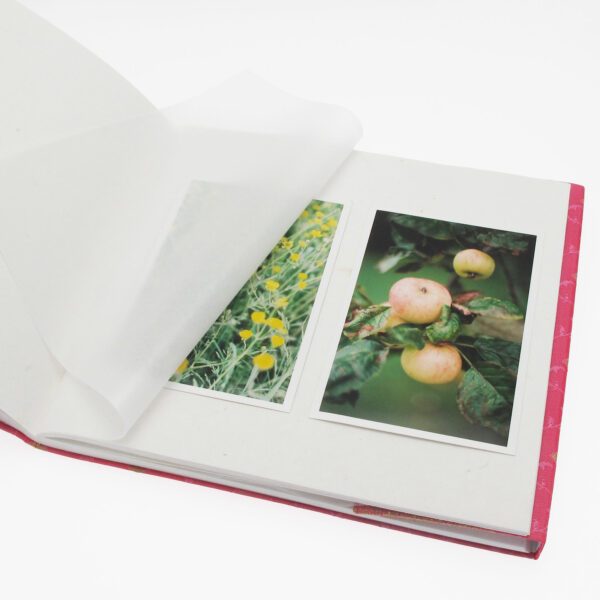 The Large Sari Fabric Photo Album lies open: yellow flowers fill the left page, apples hanging on a tree cover the right, with vibrant sari fabric glimpsed beneath.