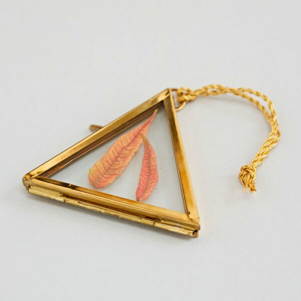 The Alia Mini Triangular Glass Hanging Photo Frame features a brass frame in a triangular shape with a glass cover, perfect for displaying autumn-colored leaves or cherished photos. It hangs elegantly from a braided golden string.