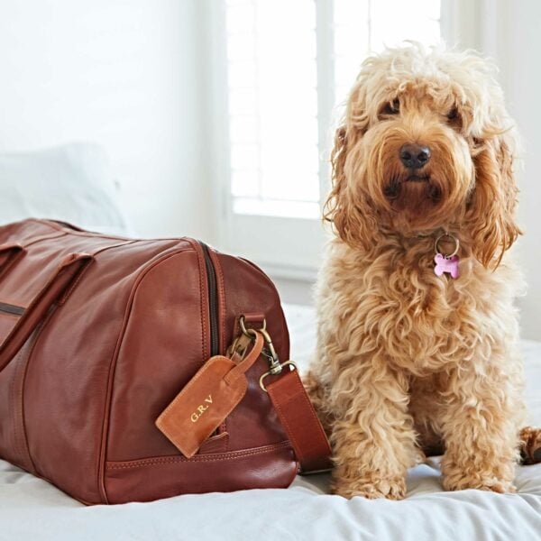 A curly-haired dog with a pink tag sits on a bed next to a brown leather duffel bag, which has the Personalised Leather Luggage Tag attached to its handle.