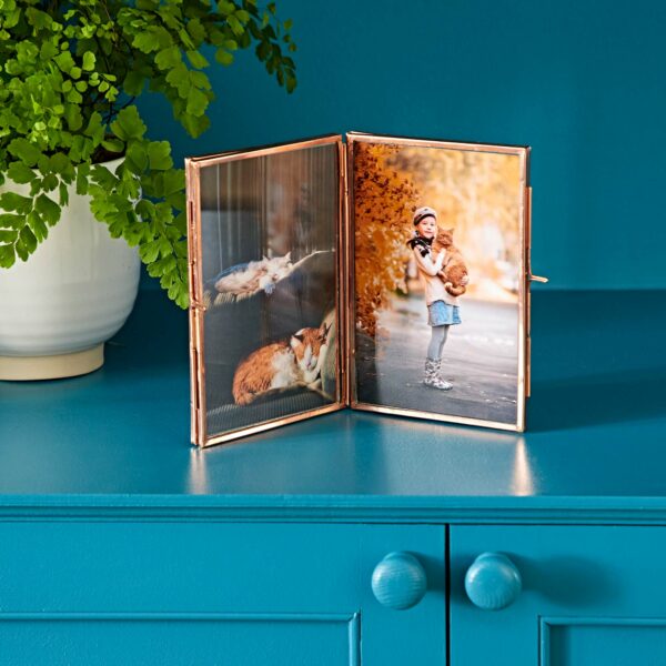 The Recycled Glass Folded Double Photo Frame, showcasing images of cats on the left and a person holding a cat with autumn leaves in the background on the right, is elegantly placed on a teal shelf beside a potted plant.