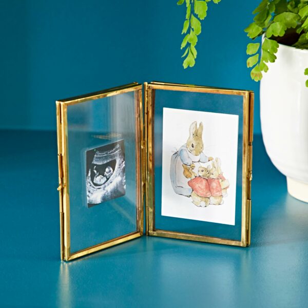 A Recycled Glass Folded Double Photo Frame showcases an ultrasound image on the left and an illustration of a rabbit family on the right. Adding a tasteful touch, a potted plant rests in the background on a blue surface.