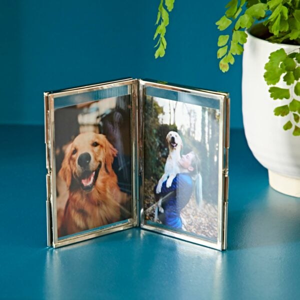 The Recycled Glass Folded Double Photo Frame on a blue surface displays a close-up of a dog on the left and a person holding a dog on the right, with a plant in a white pot in the background. Crafted from recycled glass, this frame adds an eco-friendly touch to your cherished memories.