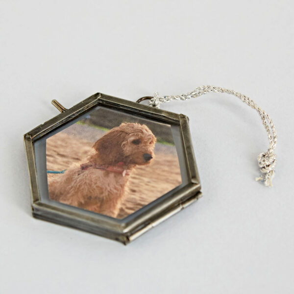 Alia Mini Glass Hexagon Hanging Photo Frame featuring a picture of a small dog inside, attached to a Copper chain resting on a light-colored surface.