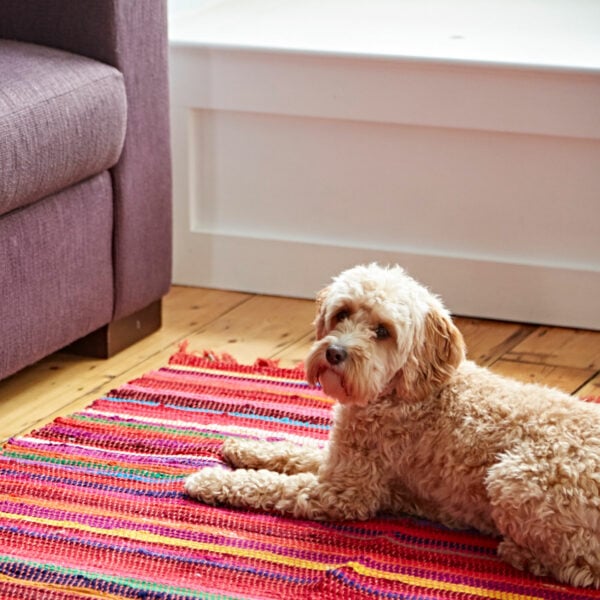 Medium Rug Decor Ideas