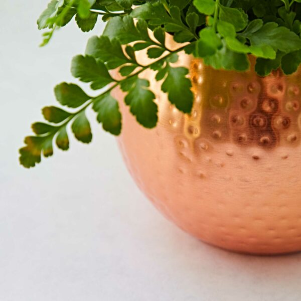 Hammered Iron Round Planter - Image 4