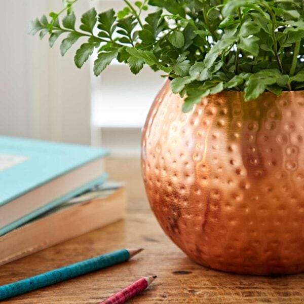 Hammered Iron Round Planter - Image 3