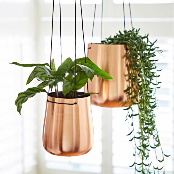 Iron Hanging Planter - Image 3