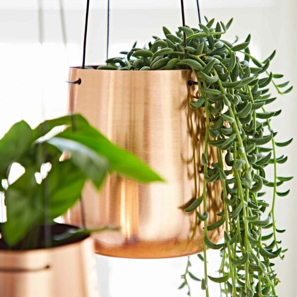 Iron Hanging Planter - Image 8