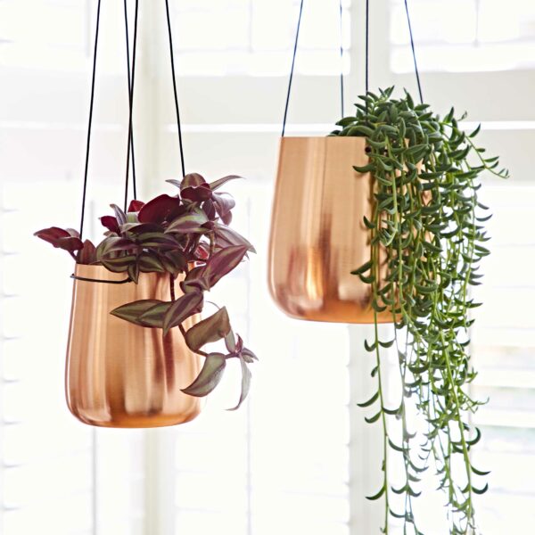 Iron Hanging Planter - Image 5