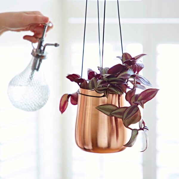 Iron Hanging Planter - Image 6