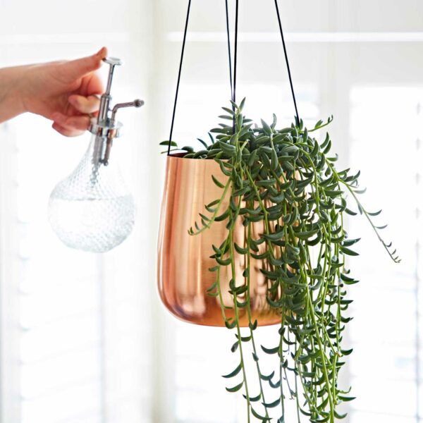 large iron planter sustainable