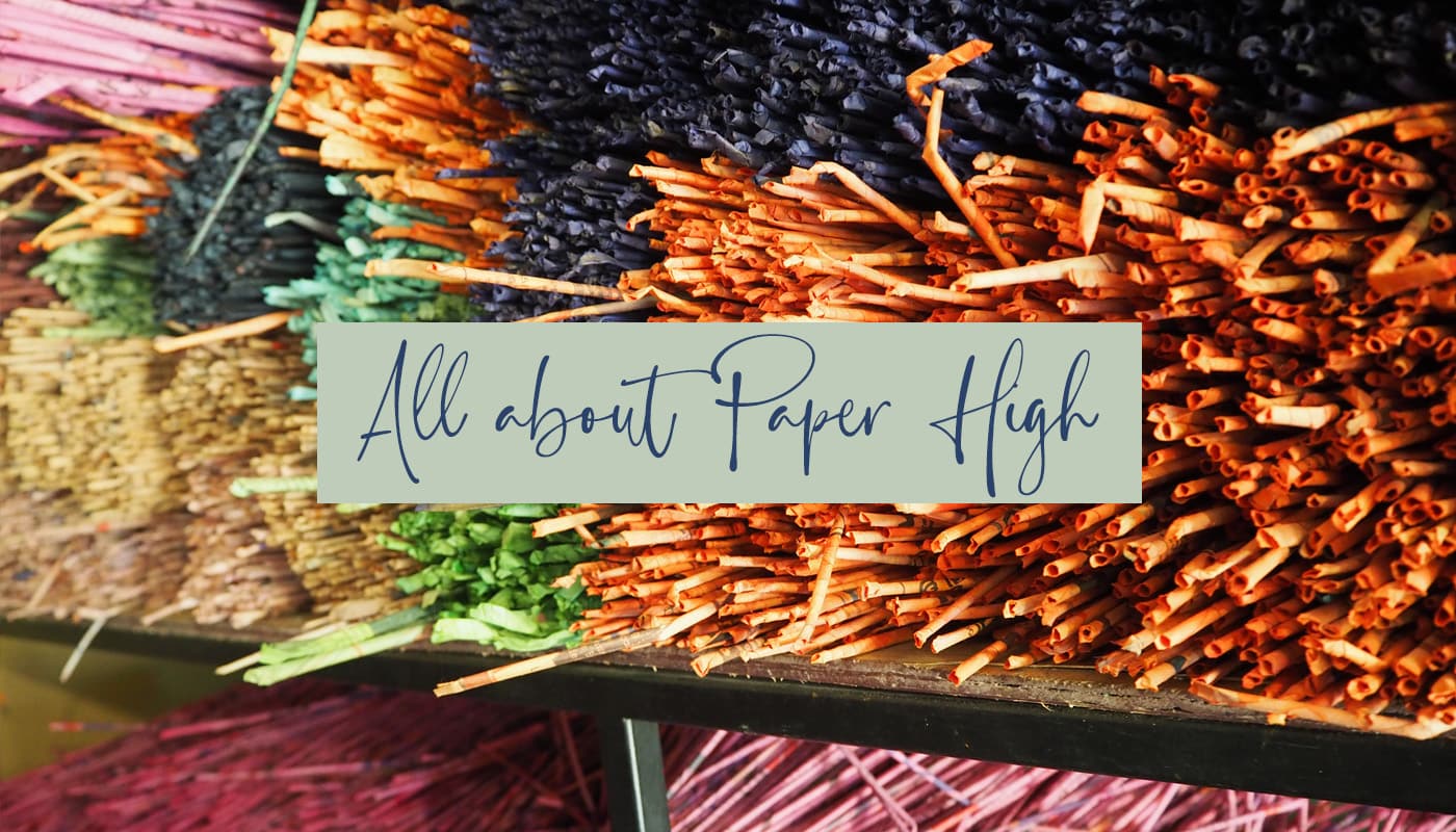 All about Paper High blog posts. Image shows straws of naturally coloured recycled newspaper, ready to be made into a product.