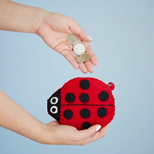 Felt Ladybird Purse - Image 4