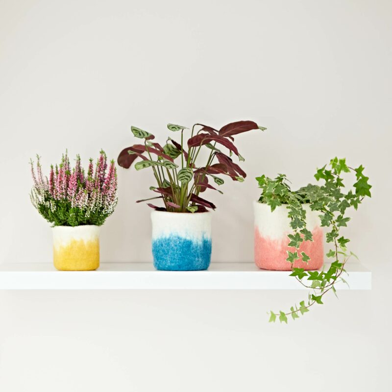 Three Handmade Felt Ombre Plant Pot Covers are sitting on a shelf.