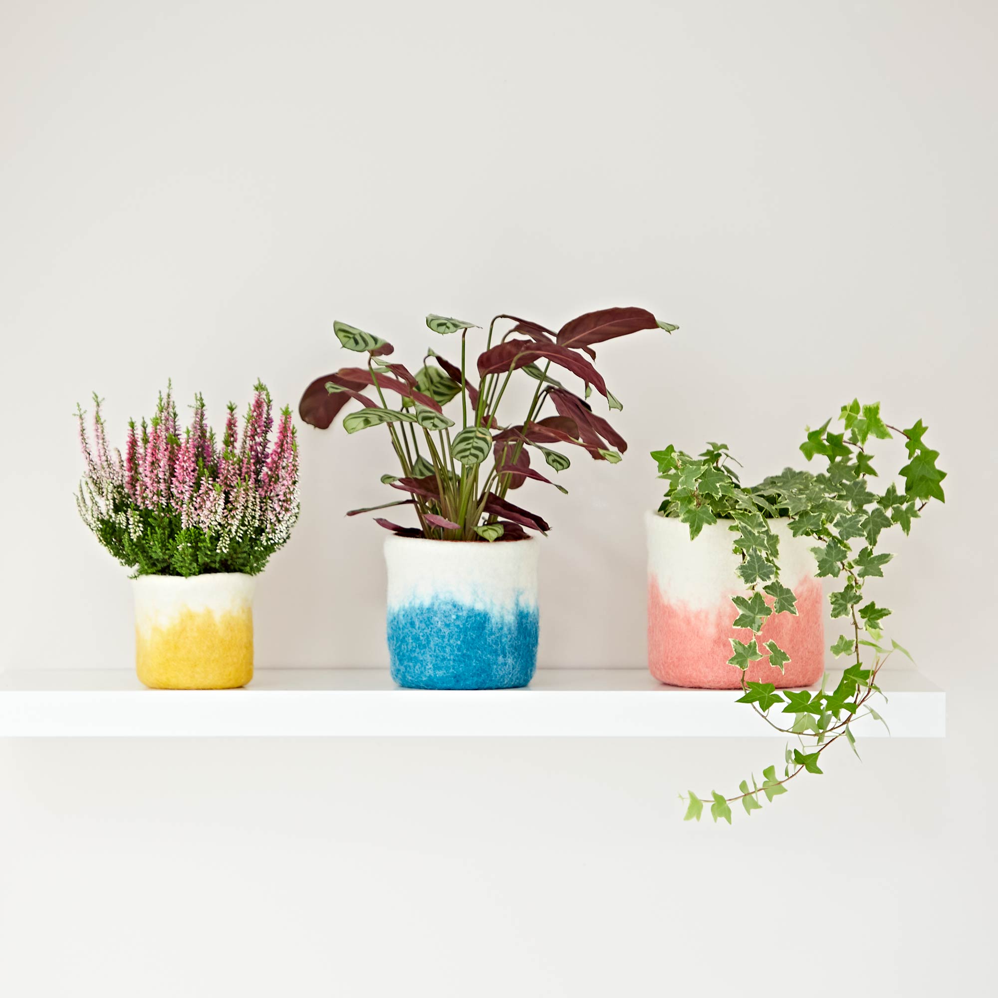 Three Handmade Felt Ombre Plant Pot Covers are sitting on a shelf.