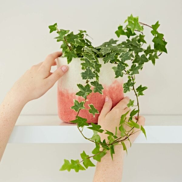 A Handmade Felt Peach Ombre Plant Pot Cover is being held by a hand on a shelf.