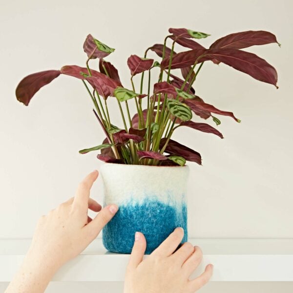 A person holding a Handmade Felt Turquoise Ombre Plant Pot Cover on a shelf.