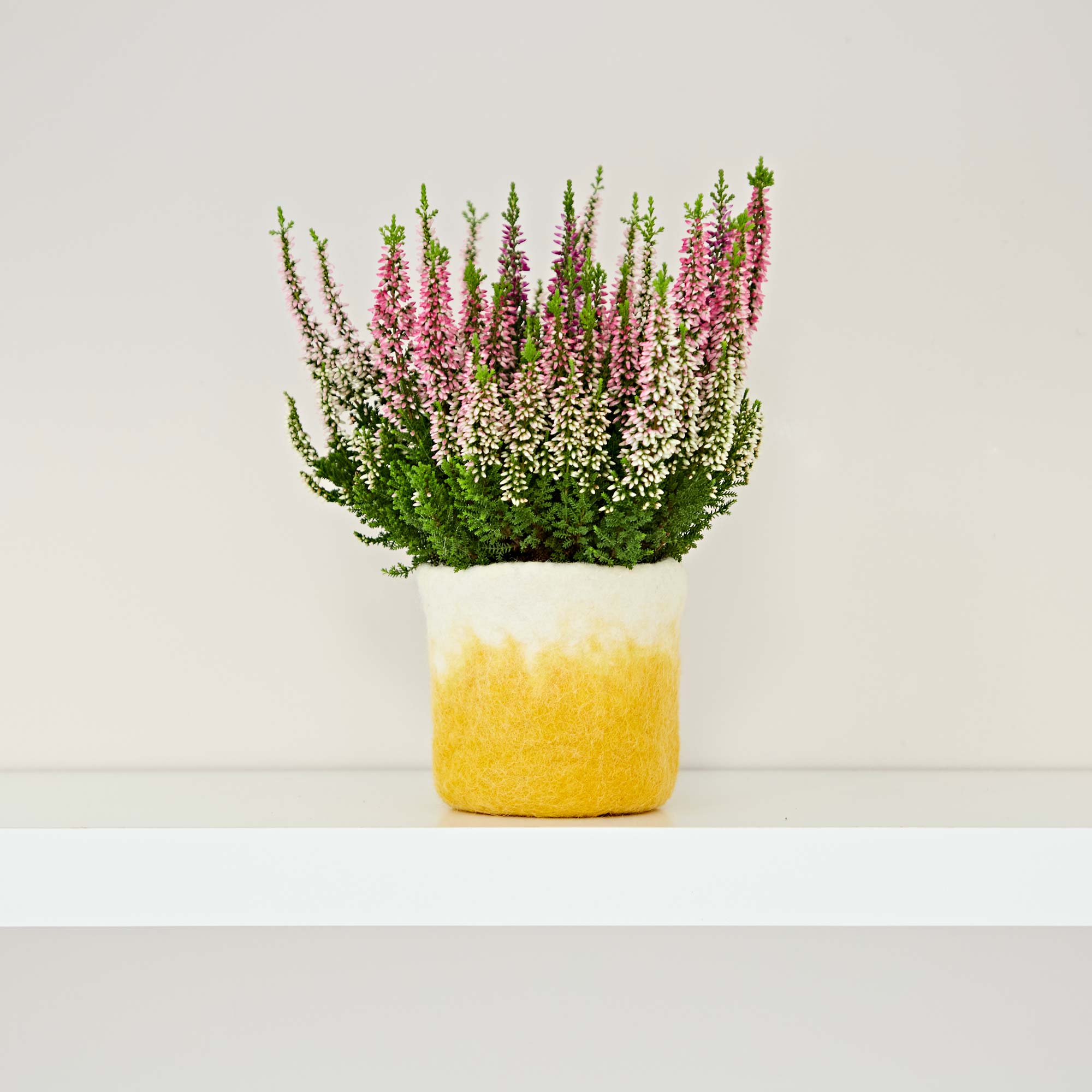 A Handmade Felt Yellow Ombre Plant Pot Cover with pink and purple flowers on a shelf.