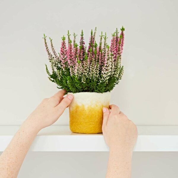 A person holding a Handmade Felt Yellow Ombre Plant Pot Cover on a shelf.