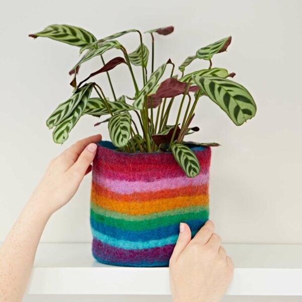 A person holding a plant in a Felt Handmade Rainbow Plant Pot Cover.