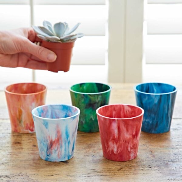 A person is holding a Recycled Plastic Mini Succulent Planter made from recycled plastic cups.