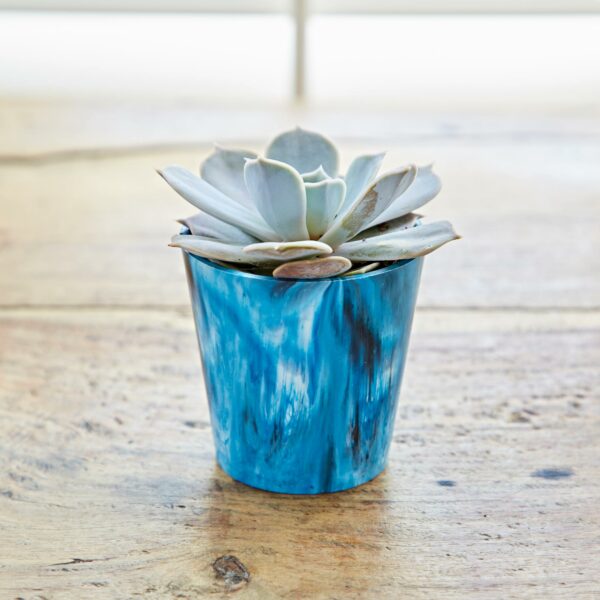 A mini plant in a blue pot on a wooden table.