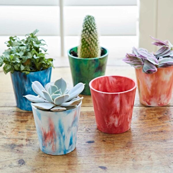 A group of Recycled Plastic Mini Houseplant Pots.