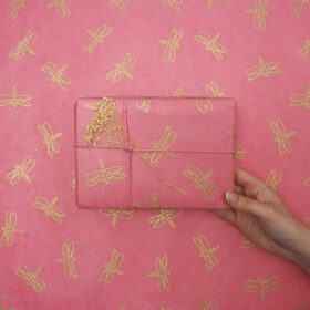 Pink Dragonfly