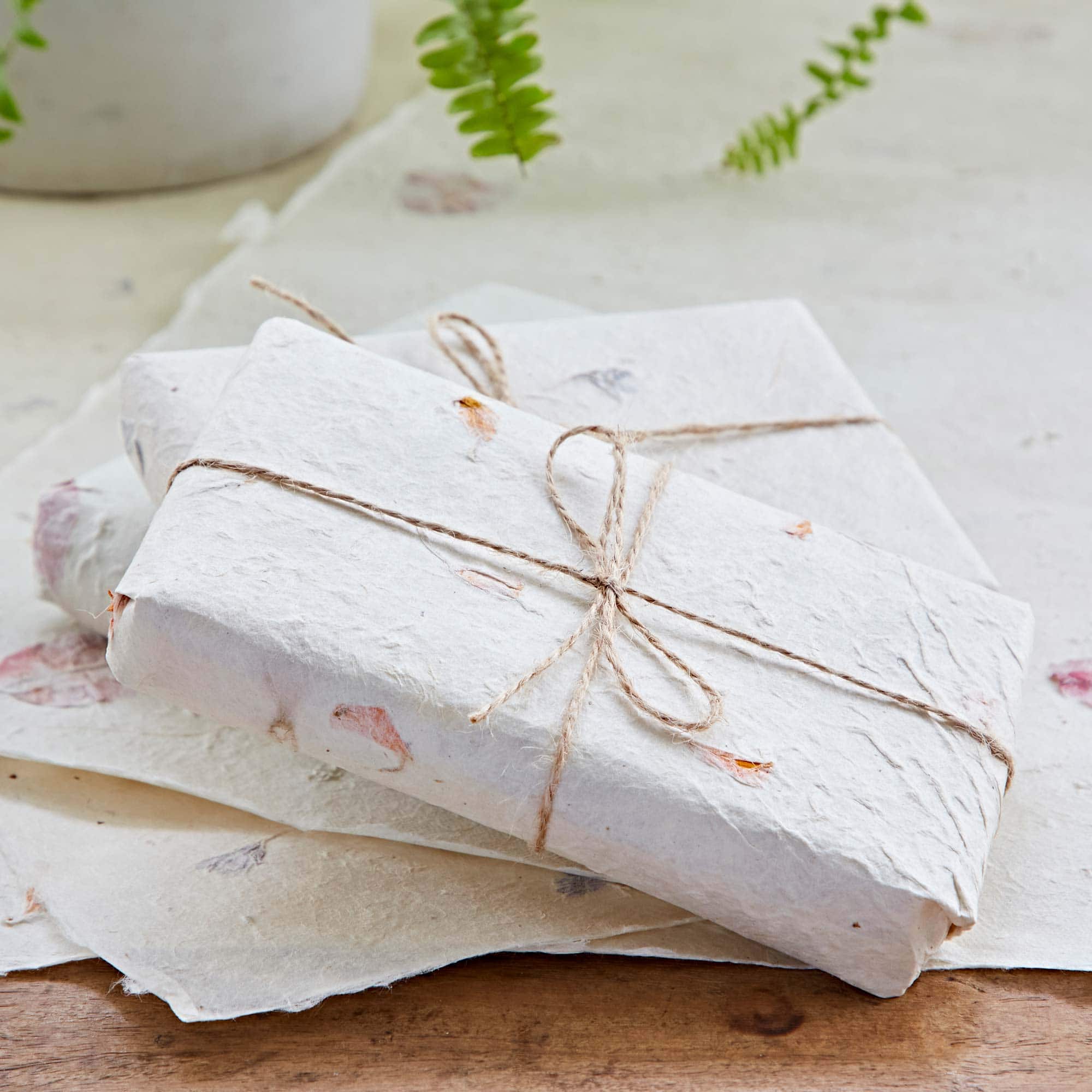Two rectangular presents wrapped in Petalled Natural Lokta Gift Wrap and tied with simple twine bows rest on matching paper, with a fern in the background.