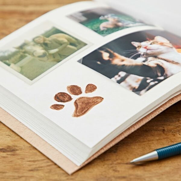 Open Indra Chakra Circle Embossed Leather Album with Semi-Precious Stones displaying two images of a cat and a brown paw print. A blue pen lies on a wooden surface next to the album.
