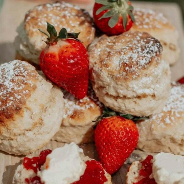 A detailed close-up of delightful scones dusted with powdered sugar, accompanied by whole strawberries. Some scones are topped with cream and strawberry jam—an exquisite snack best enjoyed while you Learn The Art of Kintsugi with Unlimited Tea and Snacks by Art4Space.