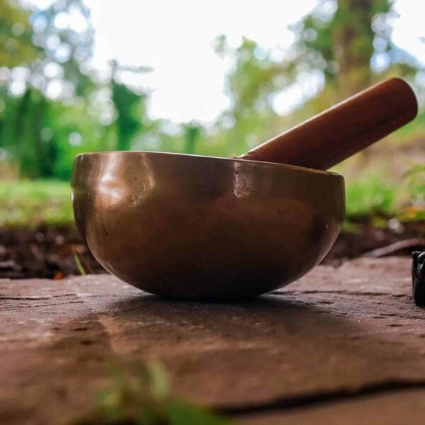 The "Nature and Wellness Day with Yoga, Forest Bathing and Foraging for Two" features a brass singing bowl resting on a wooden surface outdoors, paired with a wooden mallet. The peaceful scene, surrounded by blurred trees and greenery in the background, perfectly captures the tranquility of nature and is an ideal setting for yoga and forest bathing.