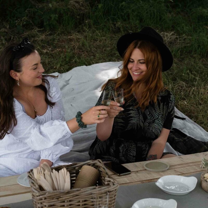 Two women raising glasses and smiling while sitting on a picnic blanket outdoors, with a picnic table and basket of utensils in the foreground, enjoying Hiver's Ultimate Beekeeping, Beer and Wine Tasting Experience for Two under the open sky.