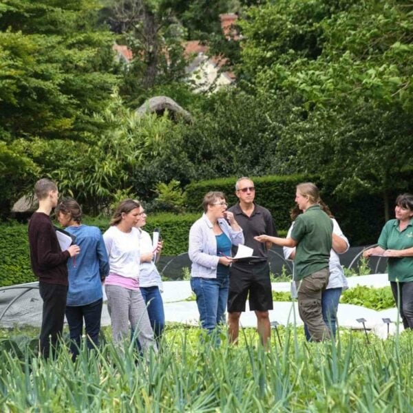 A group of people stand talking in a garden at Le Manoir aux Quat'Saisons, some holding notepads. Trees and greenery surround them as they immerse themselves in the Half Day The Edible Garden Course at The Raymond Blanc Gardening School, Le Manoir aux Quat Saisons.
