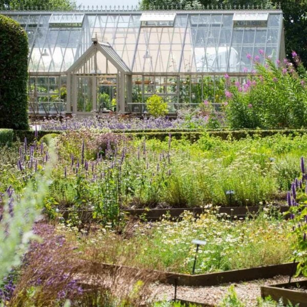 A well-maintained garden with various flowers and greenery in front of a large greenhouse, inspired by the Half Day The Edible Garden Course at The Raymond Blanc Gardening School, Le Manoir aux Quat'Saisons.
