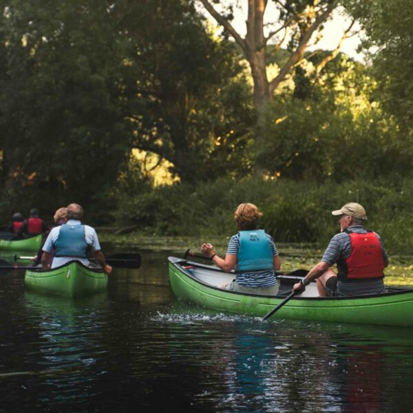 A group of people paddle green canoes along a calm river, surrounded by dense, green foliage under the mid-day sunlight. It's as serene as the Mindful Sea Swimming for Two on the Edinburgh Coast experience.