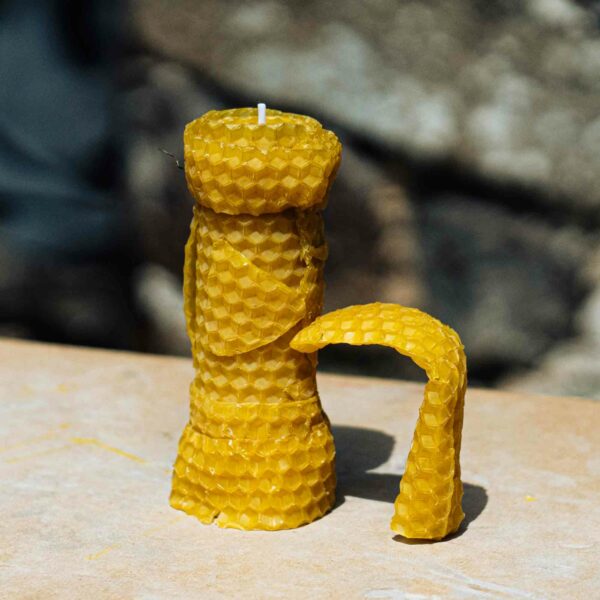 A uniquely shaped beeswax candle with a textured, honeycomb pattern inspired by the Terra Vitum Foraging Workshop and Wild Feast for Two graces a smooth surface outdoors.