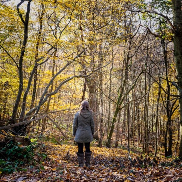 A person in a green coat and boots stands in Bradgate Park, home to the Beekeeper Taster with Handmade Beeswax Candle, surrounded by trees with yellow autumn leaves, facing away.
