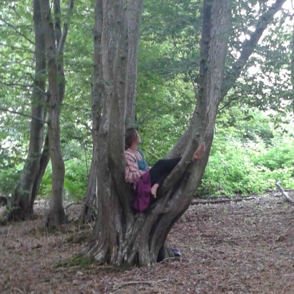 A person sitting and lounging between the trunks of a split tree in Bradgate Park, surrounded by green foliage and natural ground cover, enjoying the serene ambiance enhanced by the Bradgate Park Beekeeper Taster with a Handmade Beeswax Candle.
