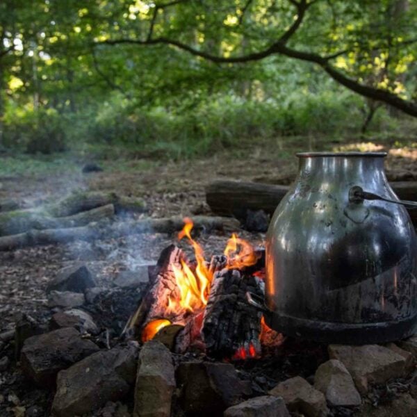 A Bradgate Park Beekeeper Taster with Handmade Beeswax Candle sits atop a campfire surrounded by rocks in the forested area of Bradgate Park.