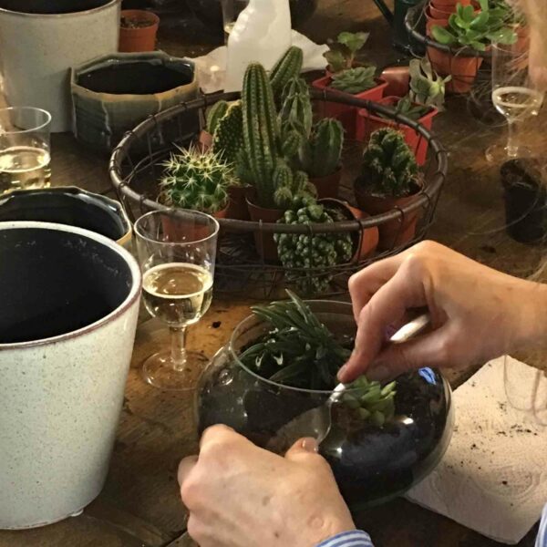 A person is arranging succulents in a glass terrarium on a table. Surrounding them are various potted plants from Moyses Stevens, gardening tools, and two glasses of wine from the Moyses Stevens Classic Hand-Tied Bouquet Workshop for Two.