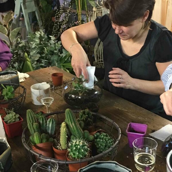 At a wooden table, a woman arranges plants in a glass terrarium, surrounded by various cacti and succulents, glasses of drinks, and materials from the Moyses Stevens Classic Hand-Tied Bouquet Workshop for Two.