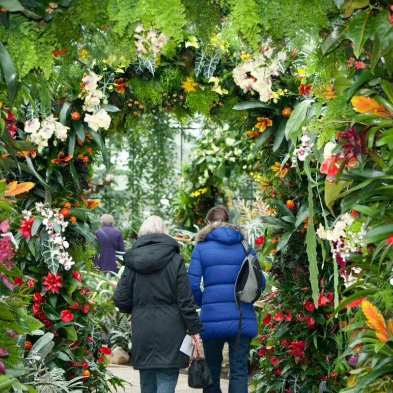 Two people wearing jackets walk through an archway adorned with vibrant flowers and greenery, reminiscent of a Visit to Kew Gardens with Cream Tea for Two in a lush garden setting.