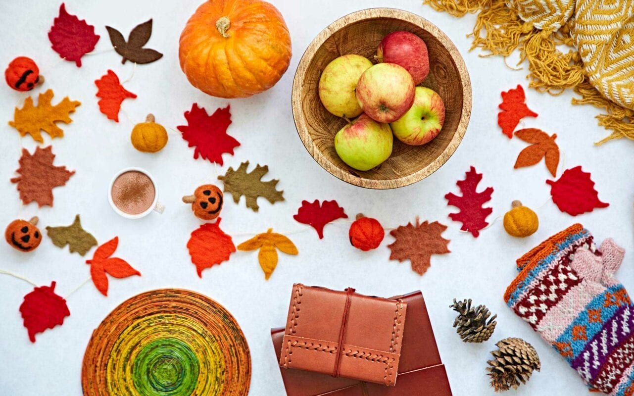 Assorted autumn-themed items, including a pumpkin, apples in a wooden bowl, felt leaves, small pumpkins, a cup of hot chocolate, an elephant dung-paper journal, a knitted scarf, pine cones on a white surface.