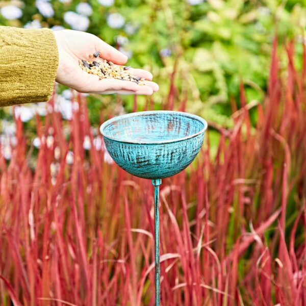 A hand holds seeds above a blue bird feeder, a charming garden decoration among red and green plants. Nearby, a Pantala Metal Dragonfly Garden Stake Decoration adds an enchanting touch to the vibrant scene.